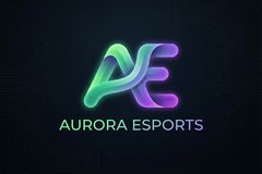 猎奇合作品牌极光电竞